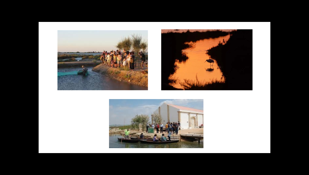 MónNatura Delta de l'Ebre